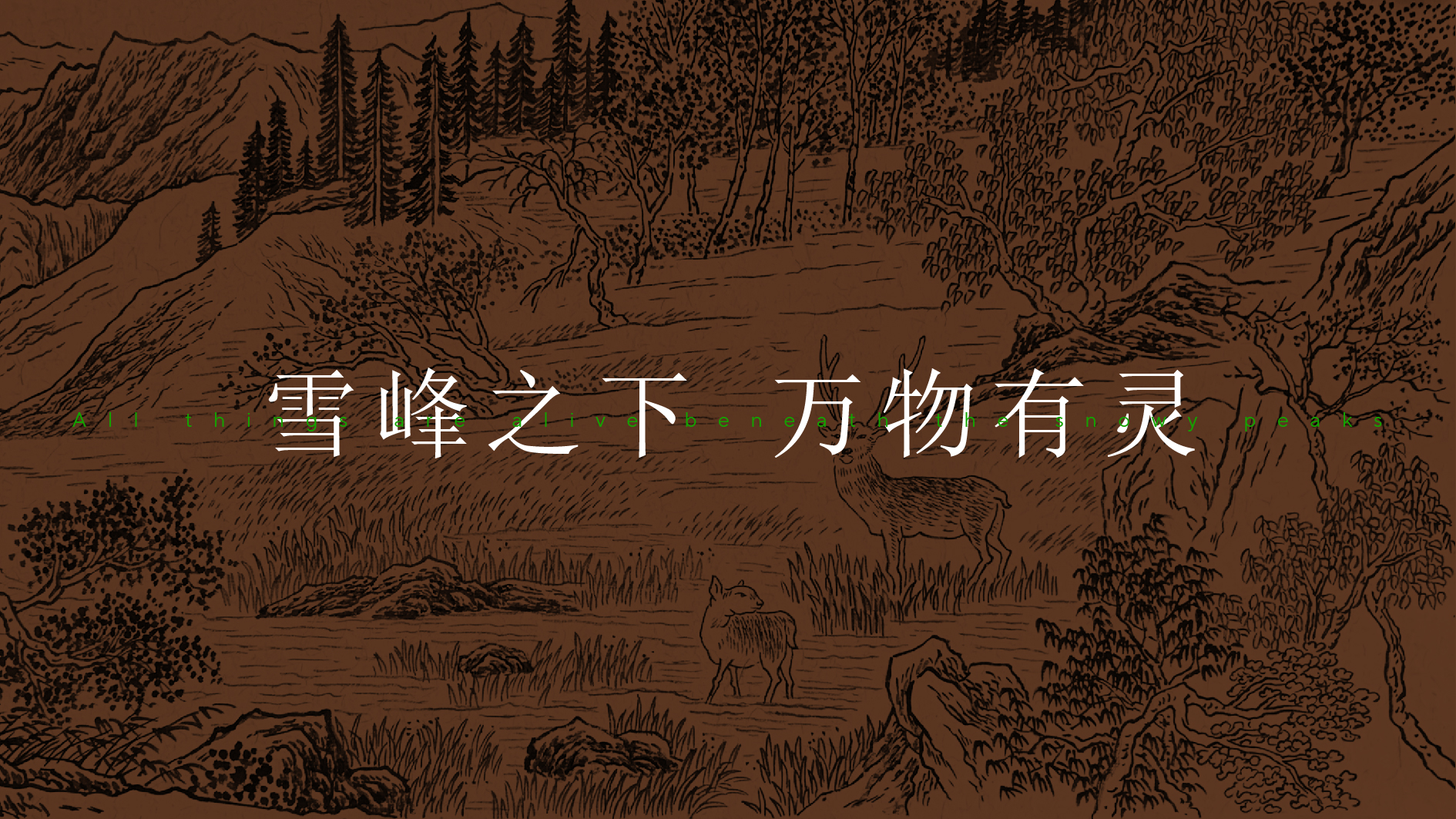 长白物语网站-02